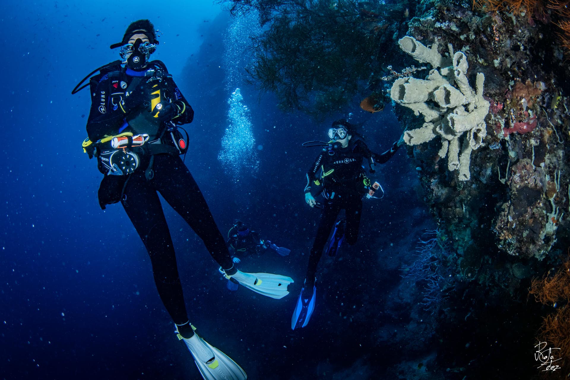Fun diving at Menjangan Island and Pemuteran Bay, North West Bali