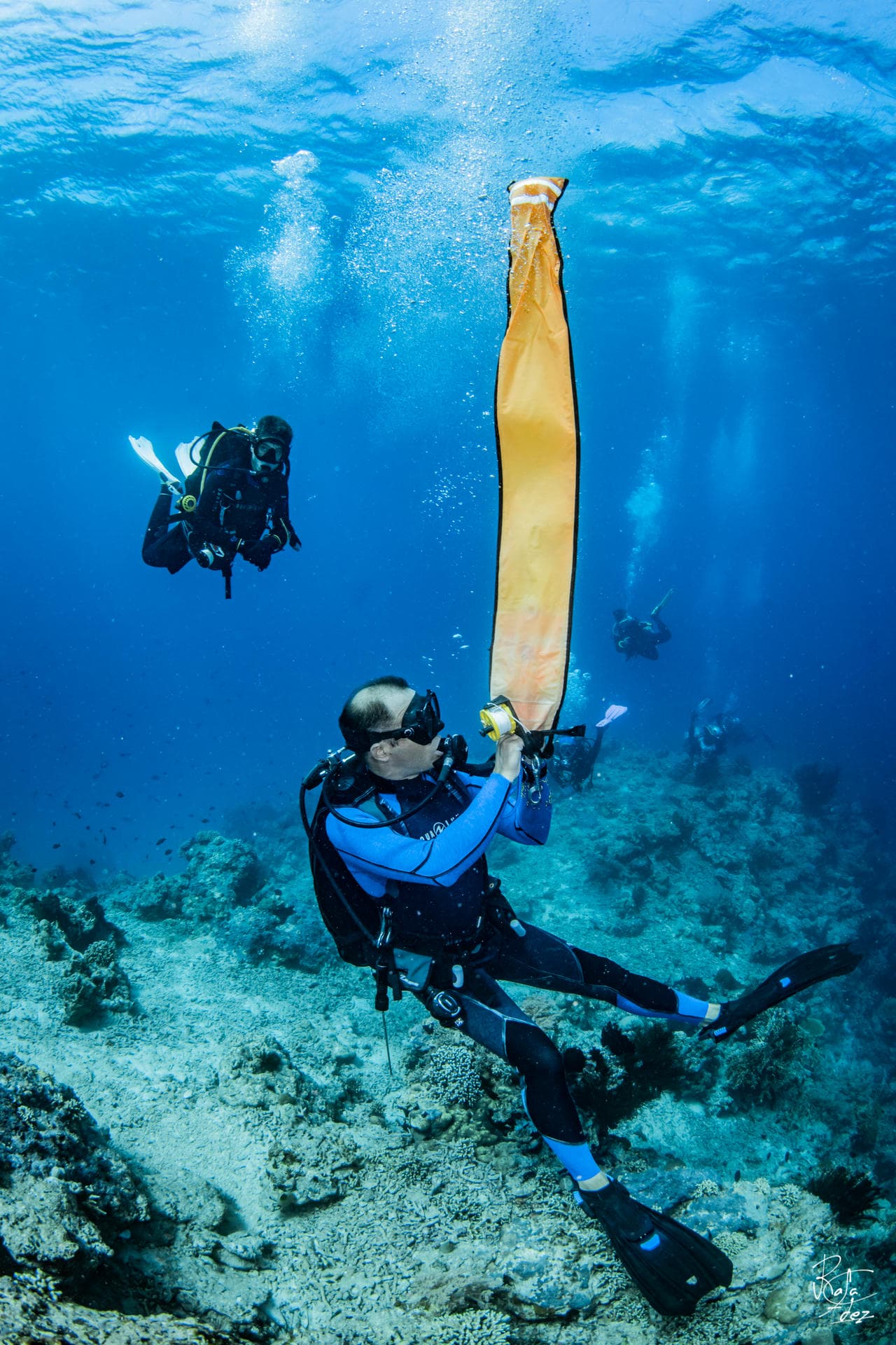 SSI & PADI scuba diving courses in Pemuteran, North West Bali