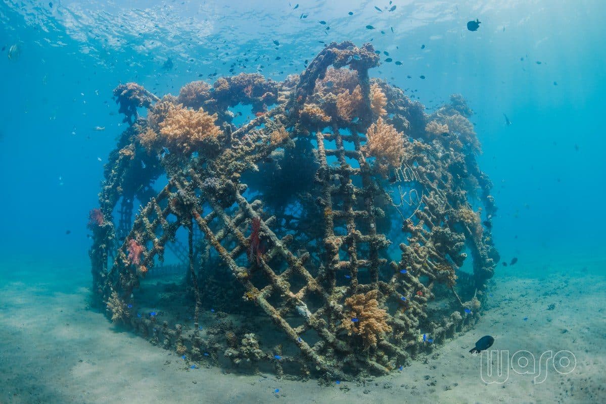 Biorock structures at Karang Lestari, Pemuteran Bay shore site